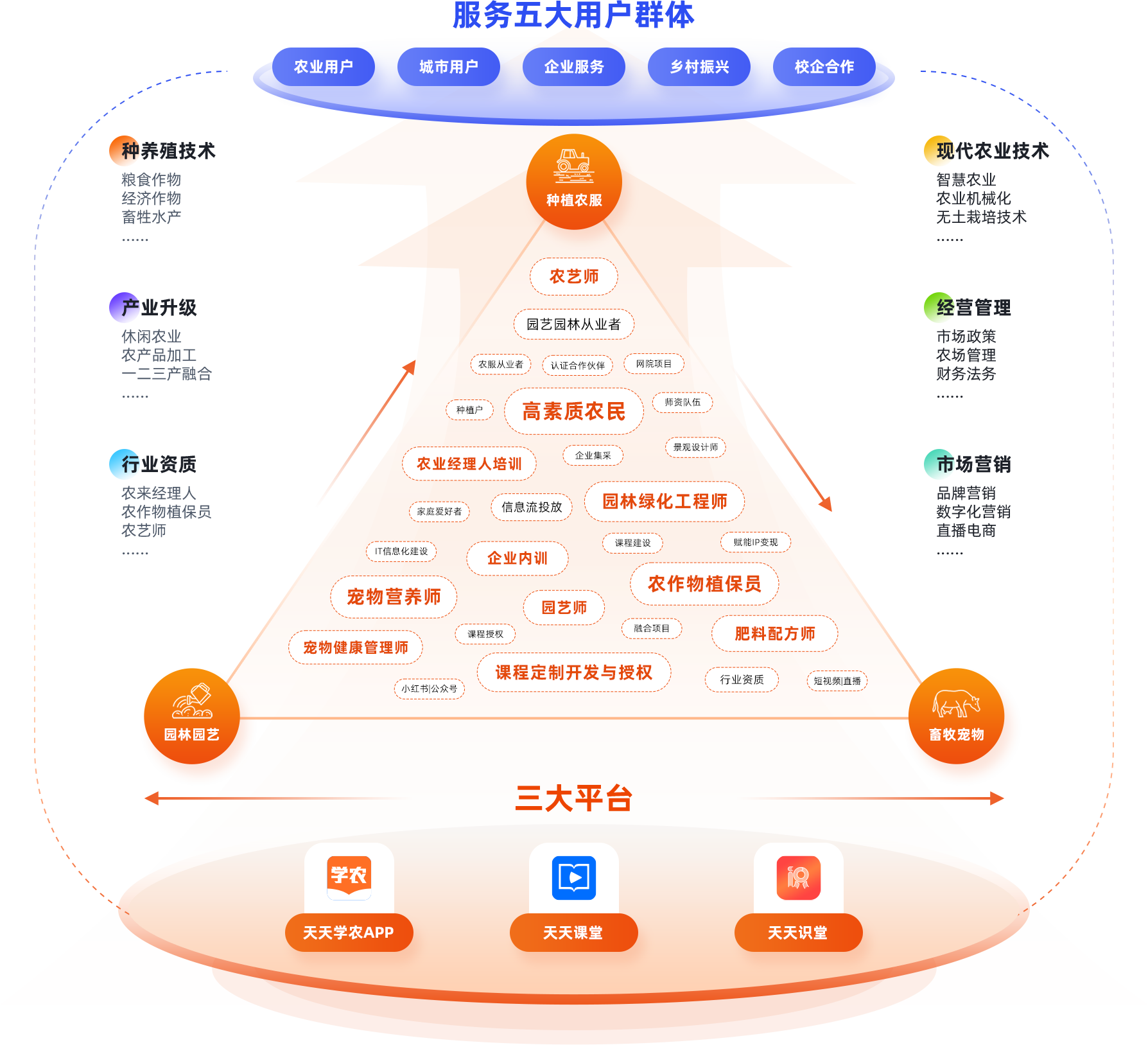 �����Ĵ��û�Ⱥ��