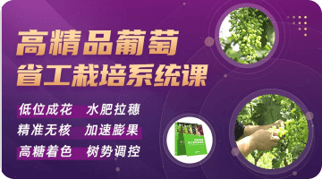 �߾�Ʒͨ�� ʡ��ݪֲϵͳ�Σ�