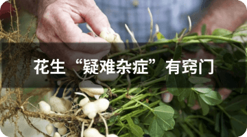 ����������֢������