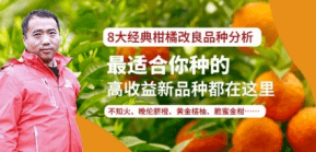 ���ٸ���Ʒ������