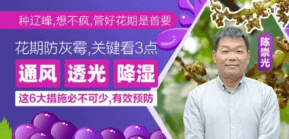 ���ڷ���ù��Ҫ����3��