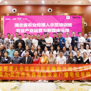 MK����(MKsports����)�ɷݹ�˾ - Mk Sports