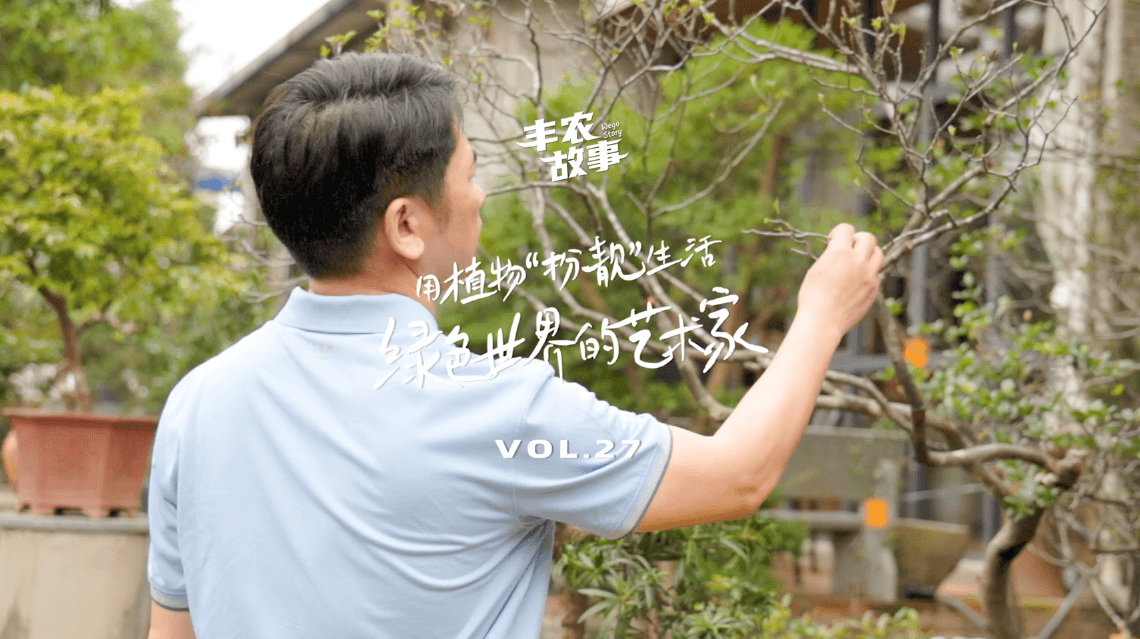 17��������һ��һľȥ������һ��������