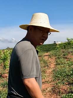 ũҵ��Ҷ����50����ͨѶ�˿���ũҵ����Ҫ��1000�����һ������