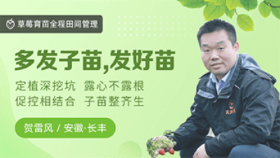 �෢������������