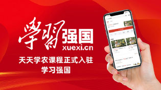 MK����ͨ����פ��ѧϰǿ����ƽ̨